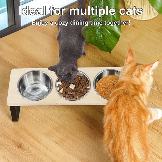 Steel Bowls with Stand