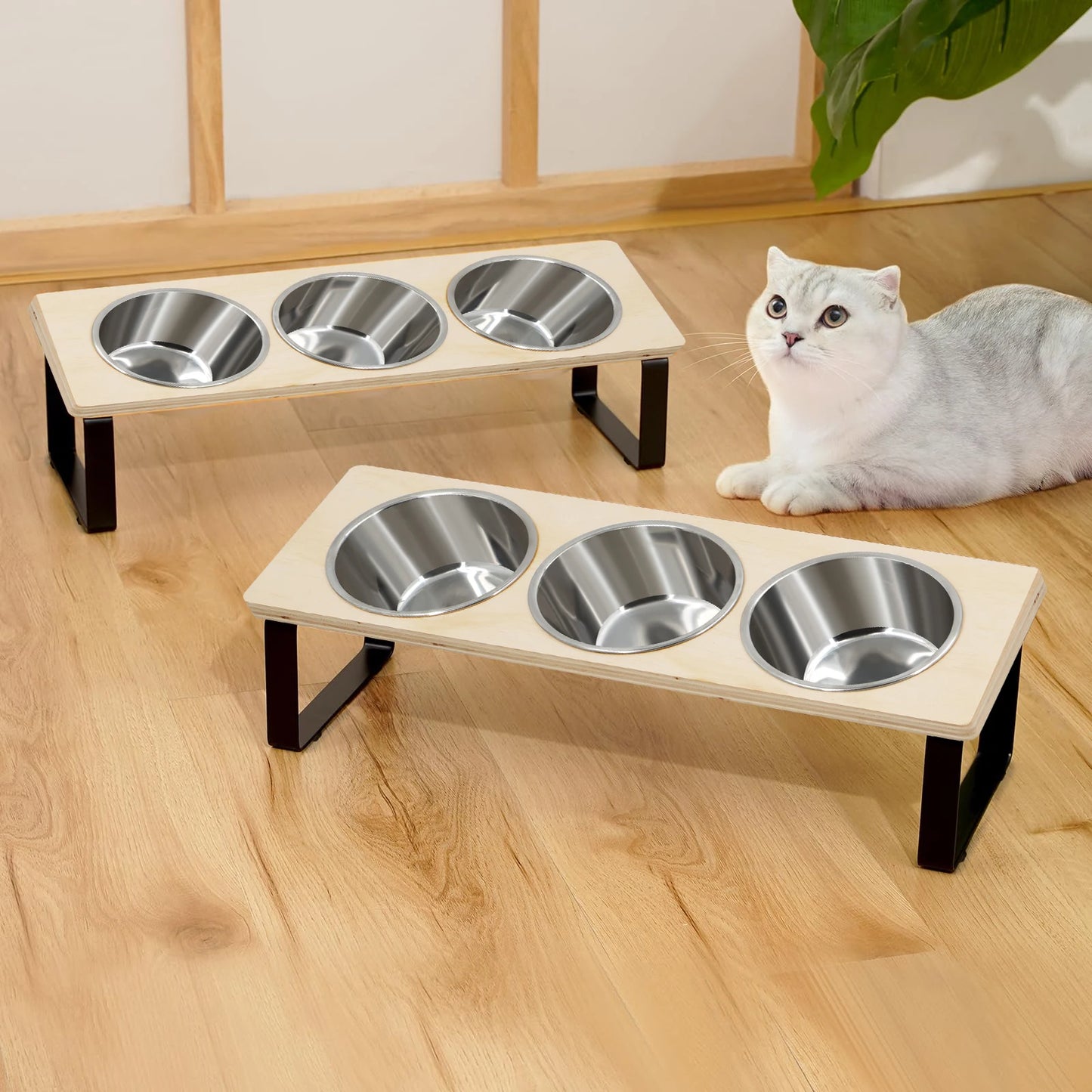Steel Bowls with Stand